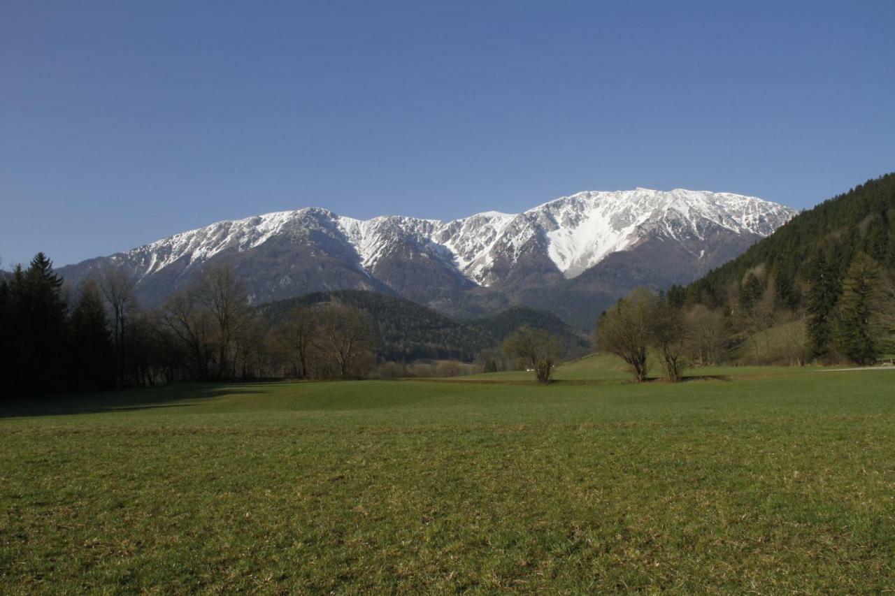 Haus Lenz Ferienwohnungen - Fam Ostermann Puchberg am Schneeberg Bagian luar foto