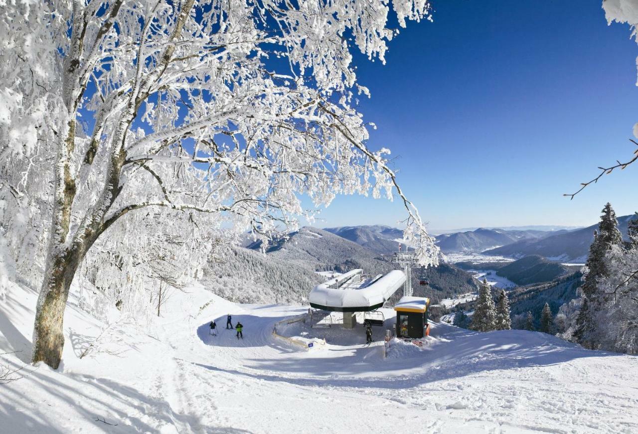 Haus Lenz Ferienwohnungen - Fam Ostermann Puchberg am Schneeberg Bagian luar foto