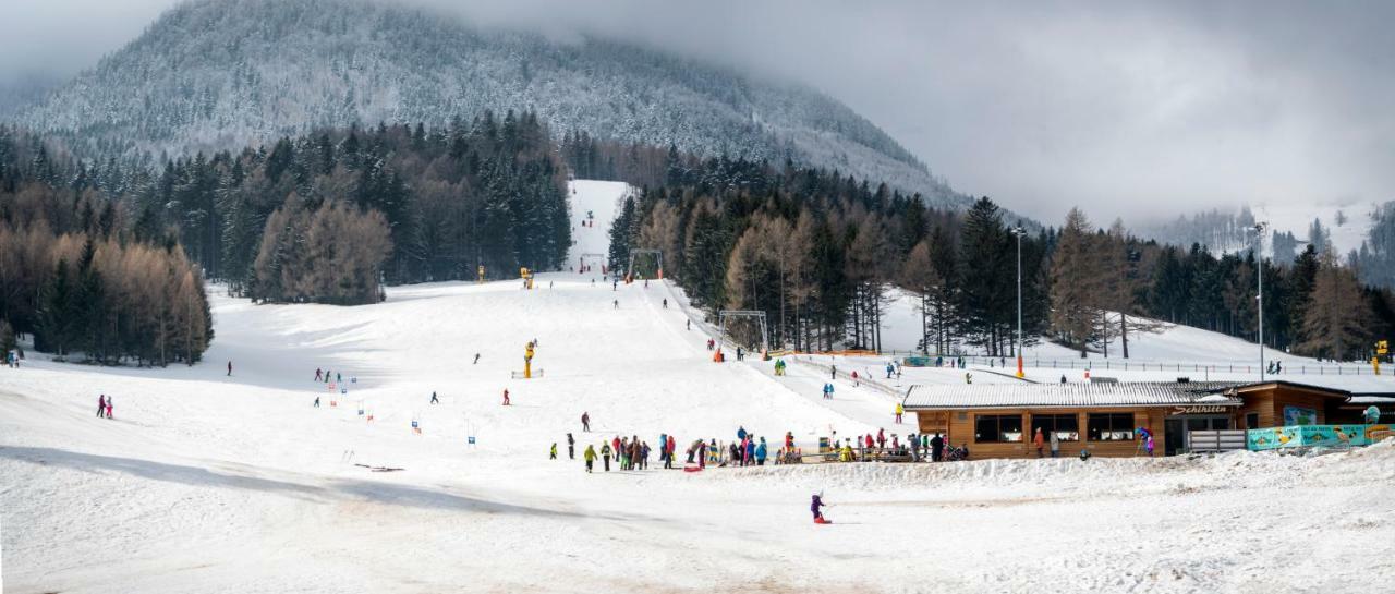 Haus Lenz Ferienwohnungen - Fam Ostermann Puchberg am Schneeberg Bagian luar foto