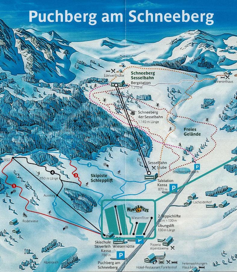 Haus Lenz Ferienwohnungen - Fam Ostermann Puchberg am Schneeberg Bagian luar foto